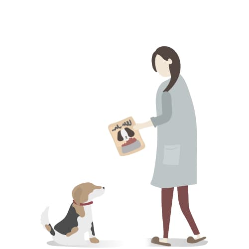 Pet sitter illustration