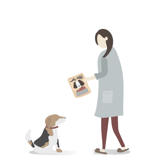 Pet sitter service illustration